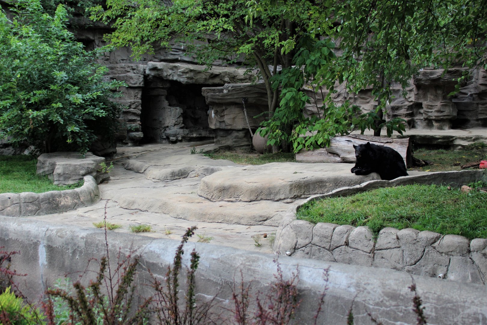 Detroit Zoo - Bear Dens - Summer, 2016