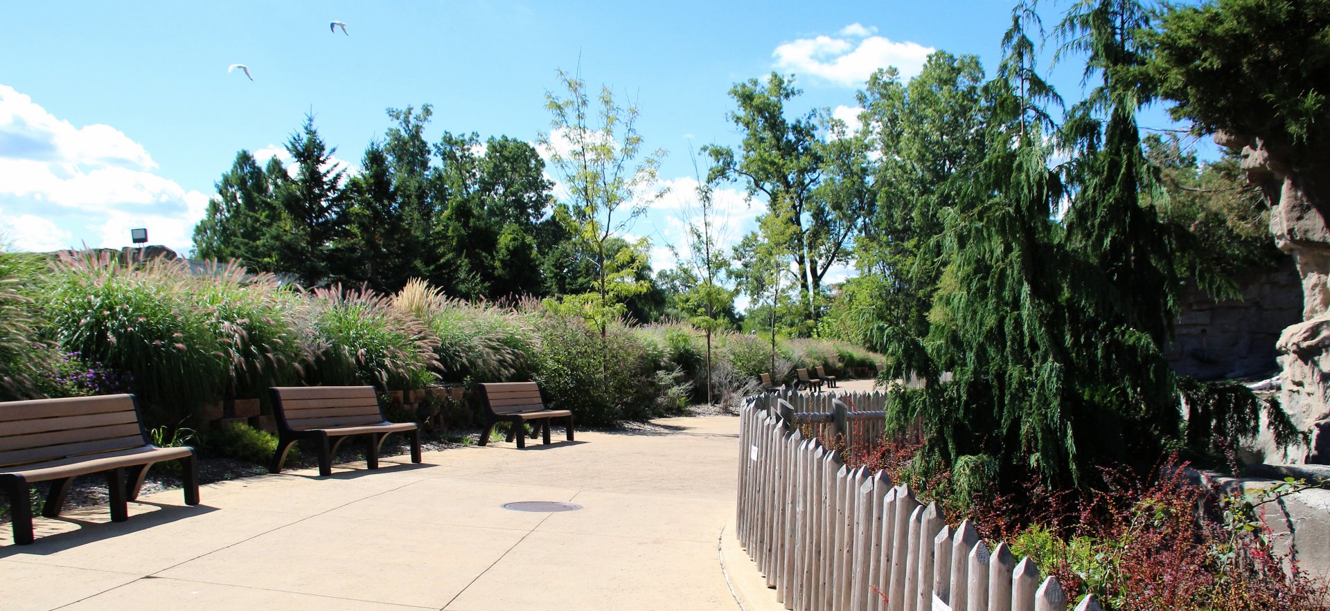 Detroit Zoo - Bear Dens - Summer, 2016