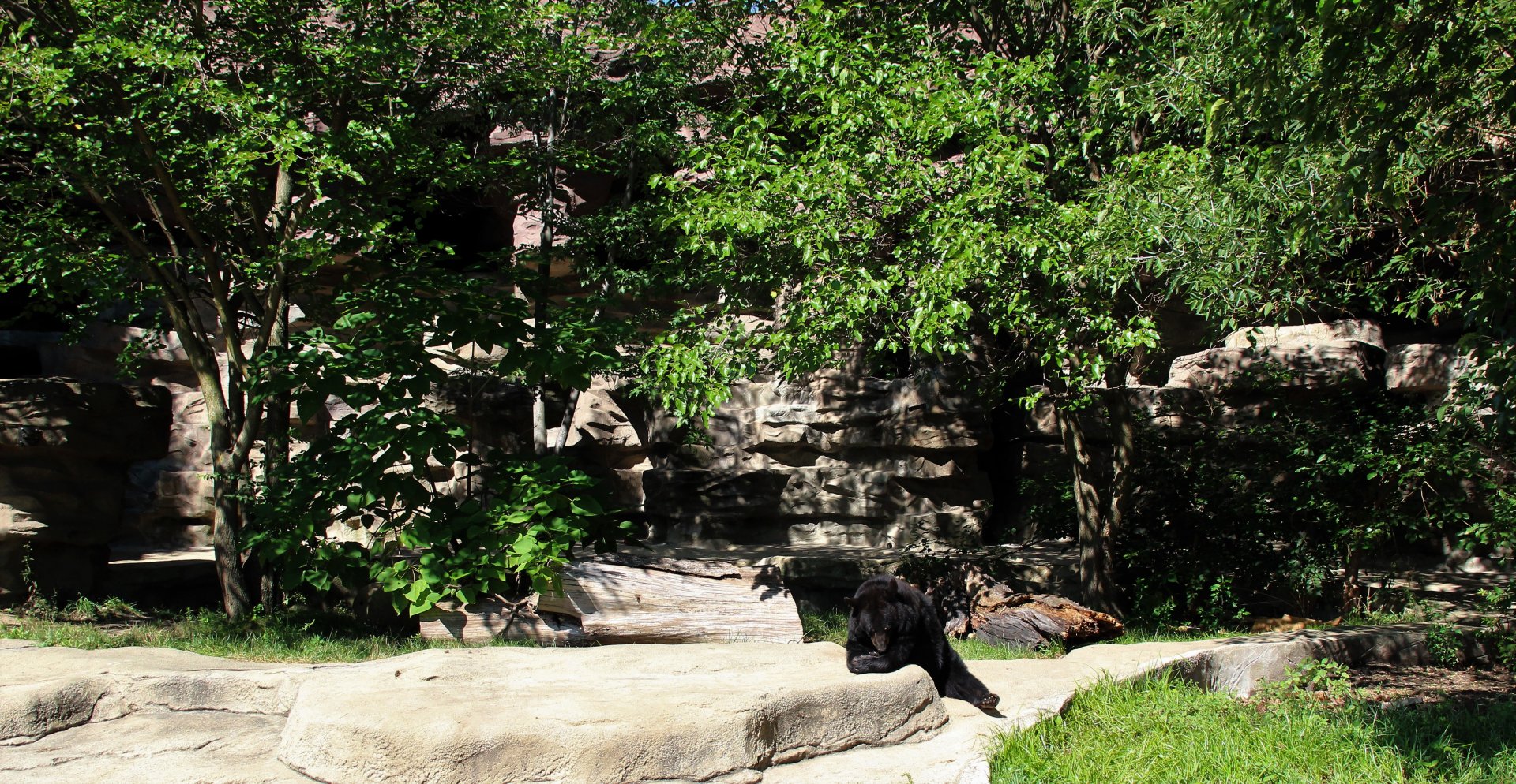 Detroit Zoo - Bear Dens - Summer, 2016