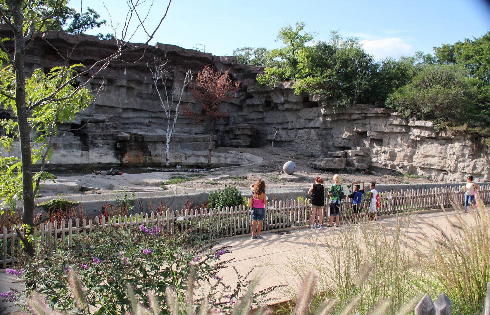 Detroit Zoo - Bear Dens - Summer, 2016