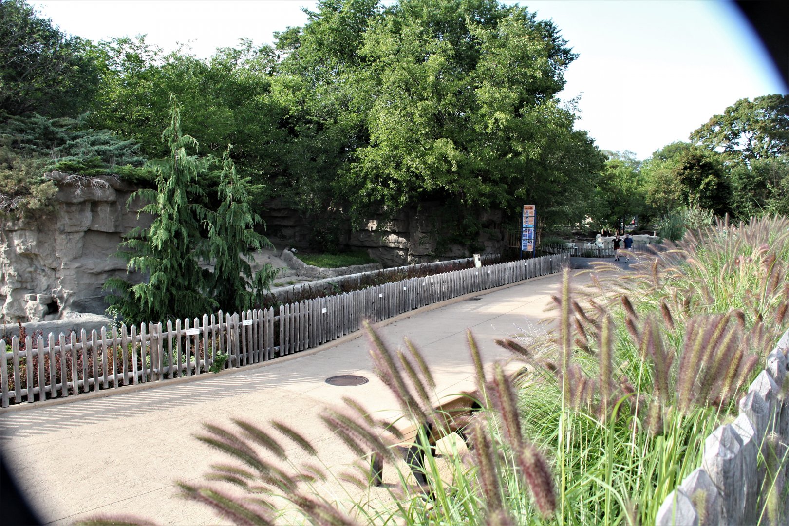 Detroit Zoo - Bear Dens - Summer, 2016