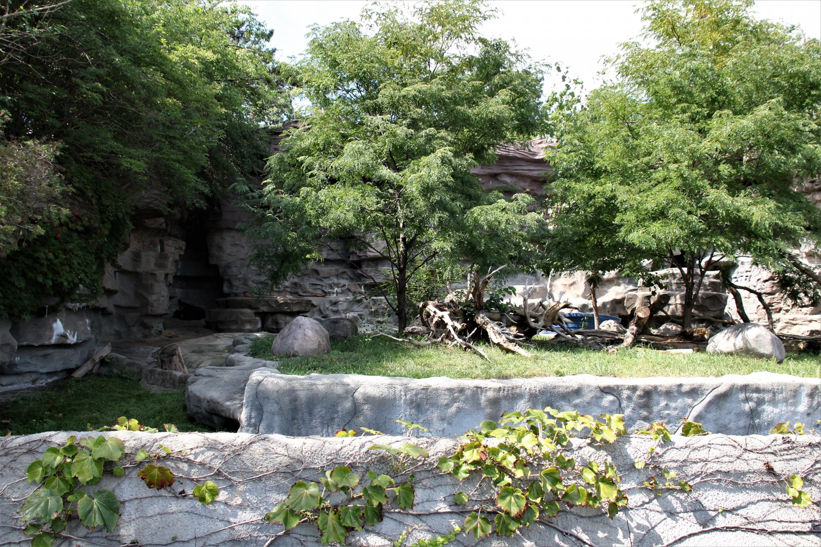 Detroit Zoo - Bear Dens - Summer, 2016