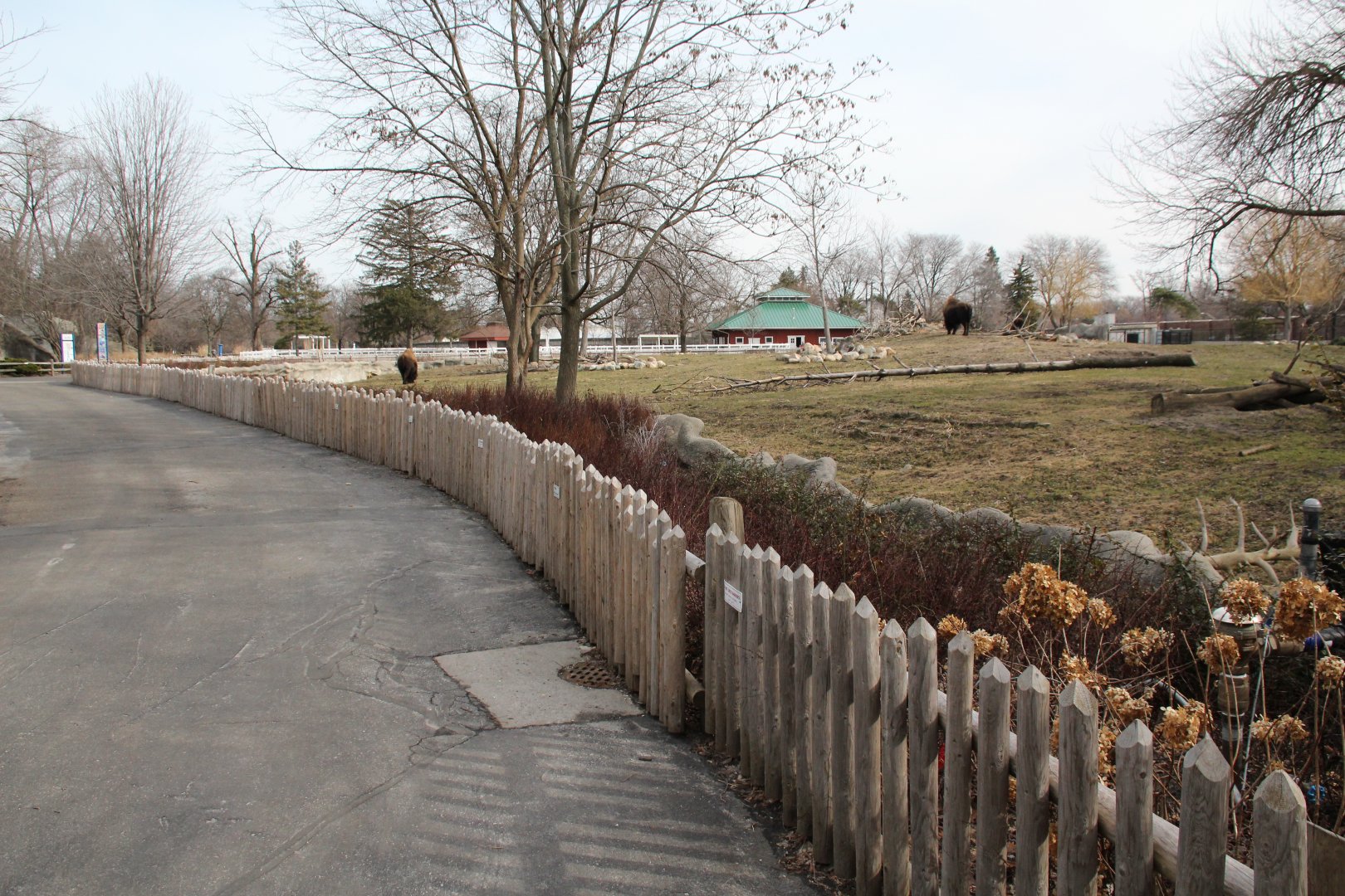 Detroit Zoo - Bison enclosure