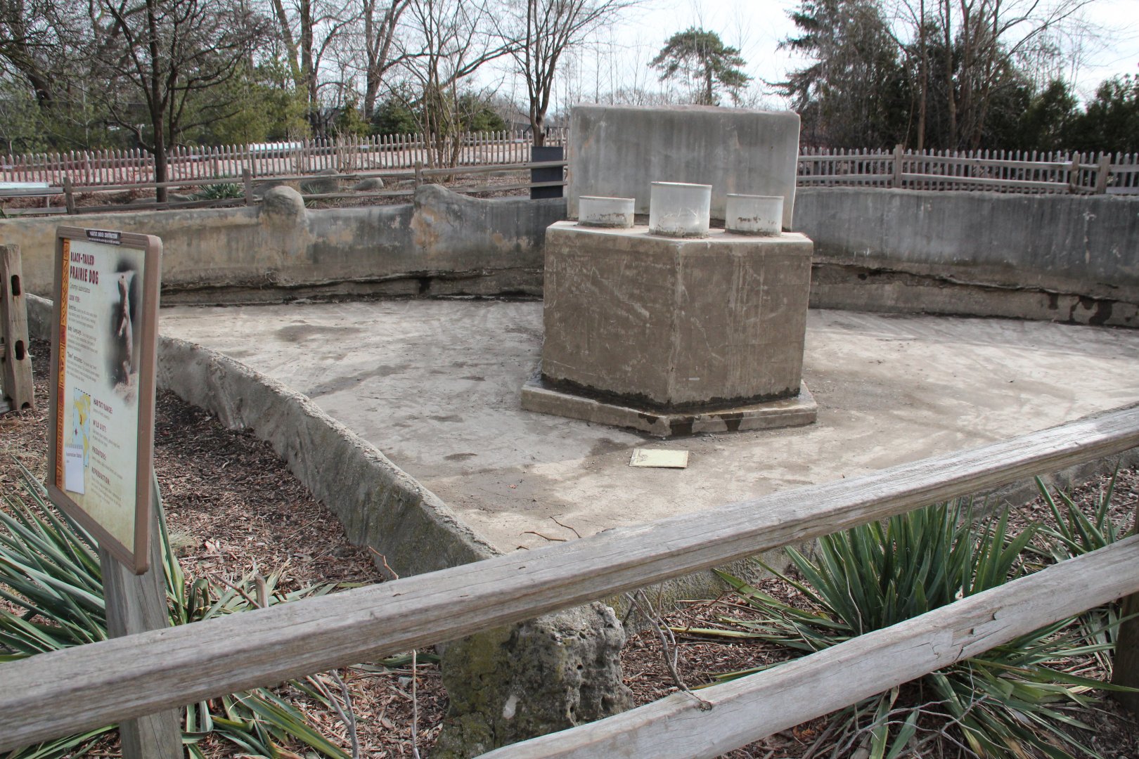 Detroit Zoo - Black-tailed Prairie Dog exhibit (closed for renovations)