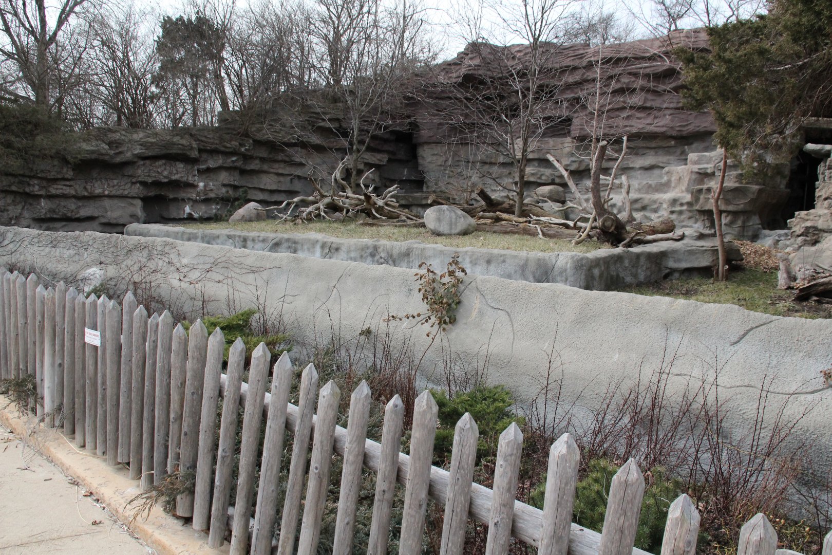 Detroit Zoo - Brown Bear exhibit