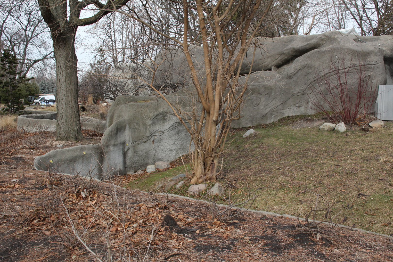 Detroit Zoo - Bush Dog enclosure
