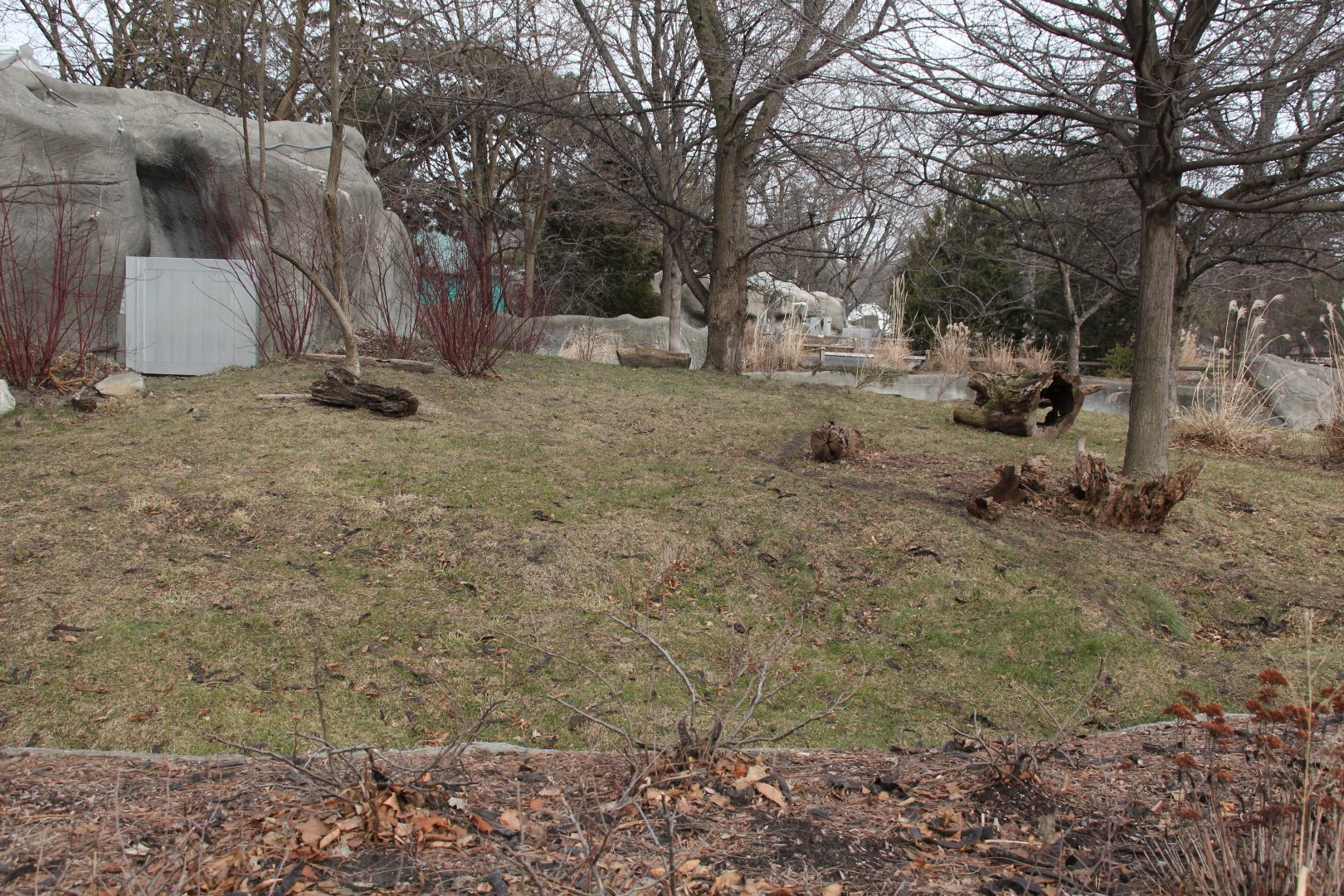 Detroit Zoo - Bush Dog enclosure