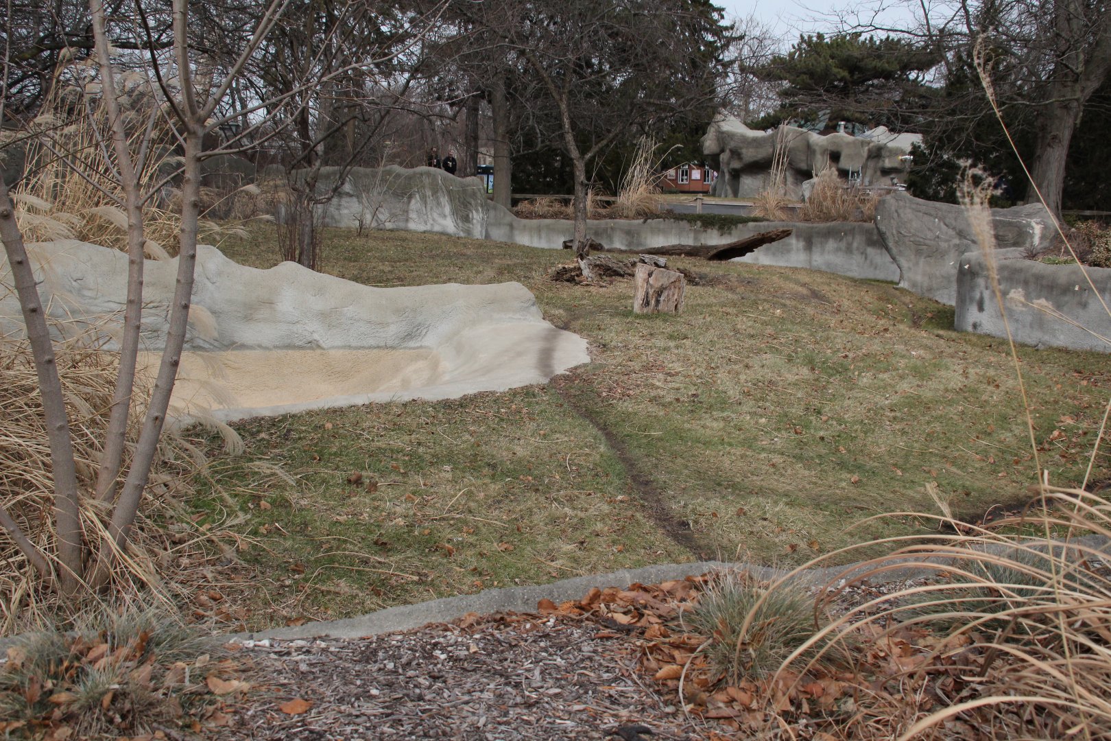 Detroit Zoo - Bush Dog enclosure