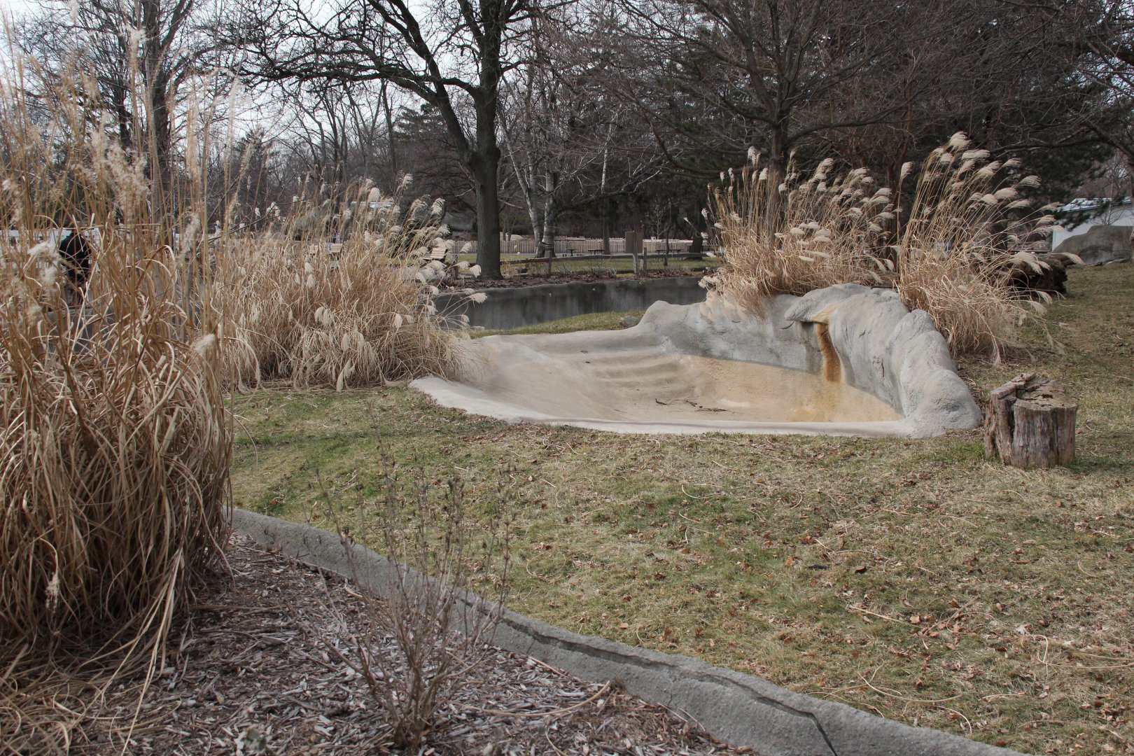 Detroit Zoo - Bush Dog enclosure