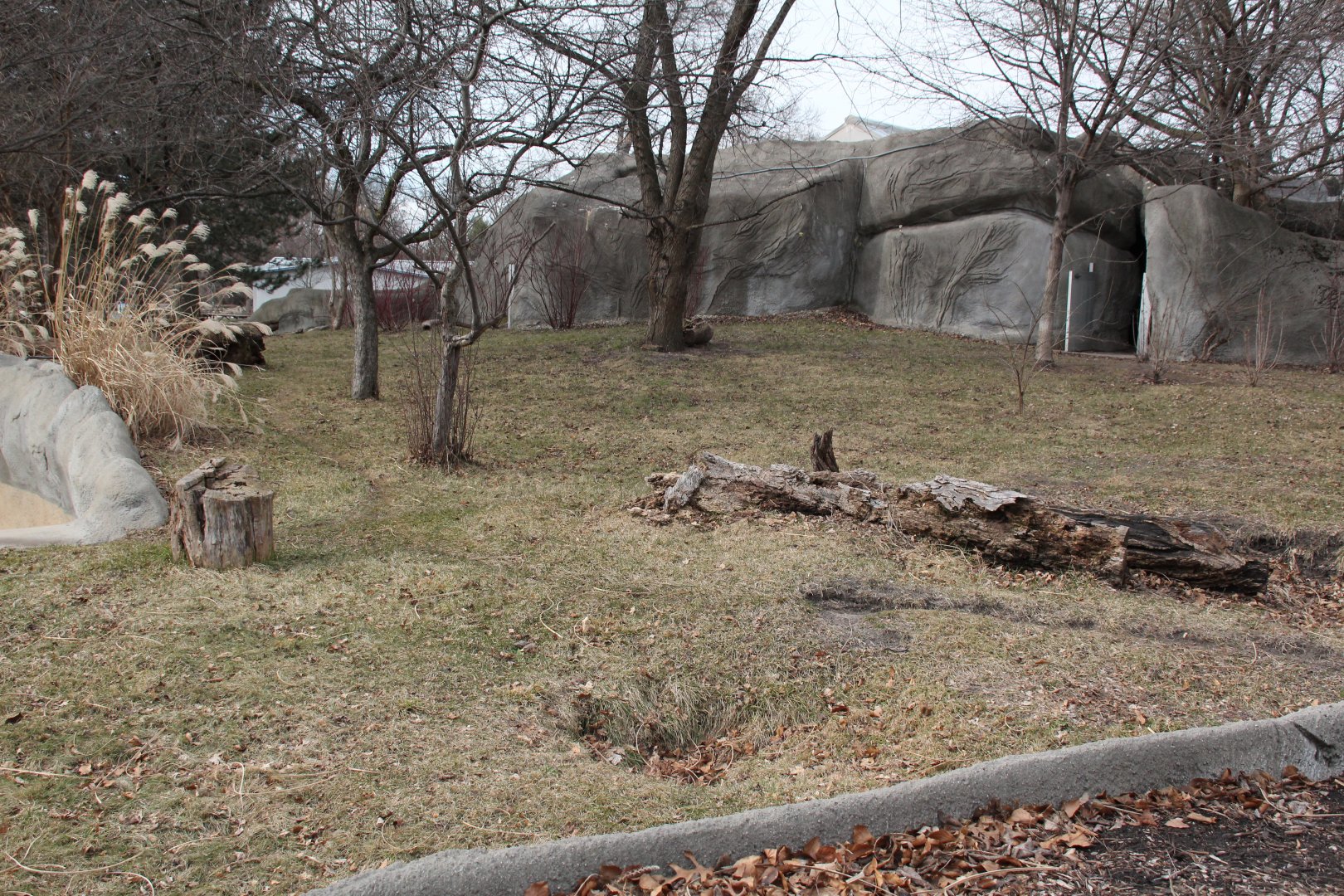 Detroit Zoo - Bush Dog enclosure