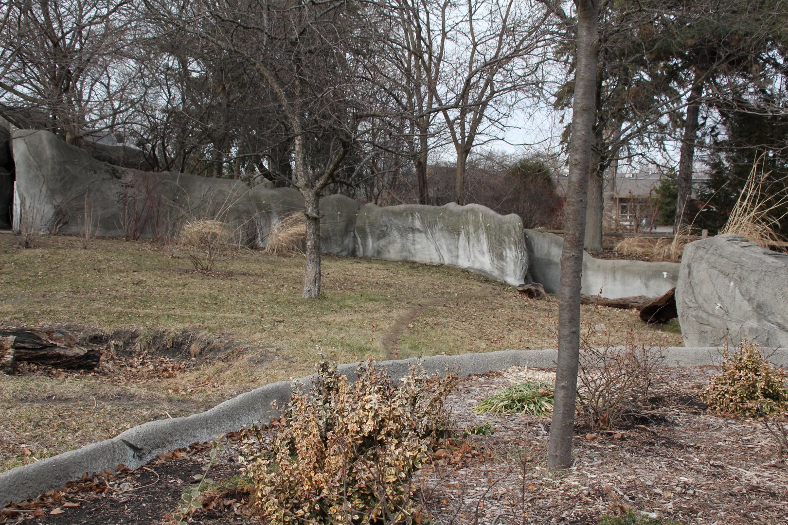 Detroit Zoo - Bush Dog enclosure