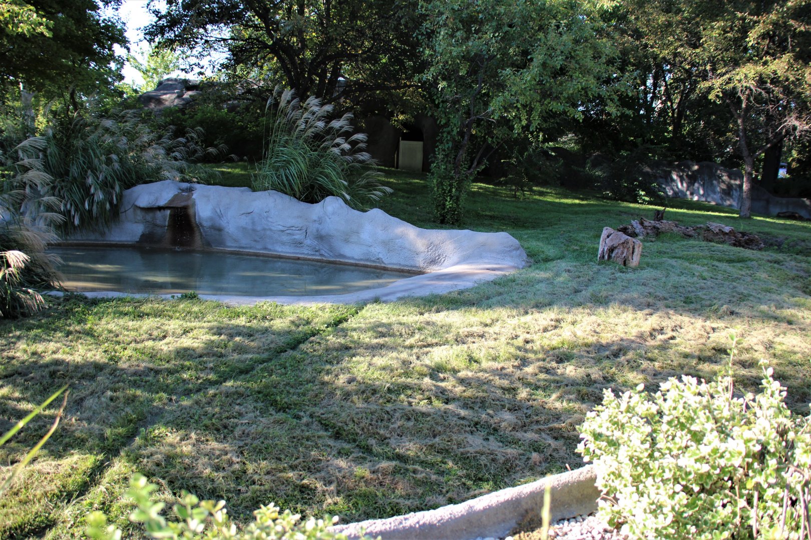 Detroit Zoo - Bush Dog habitat - Summer, 2016