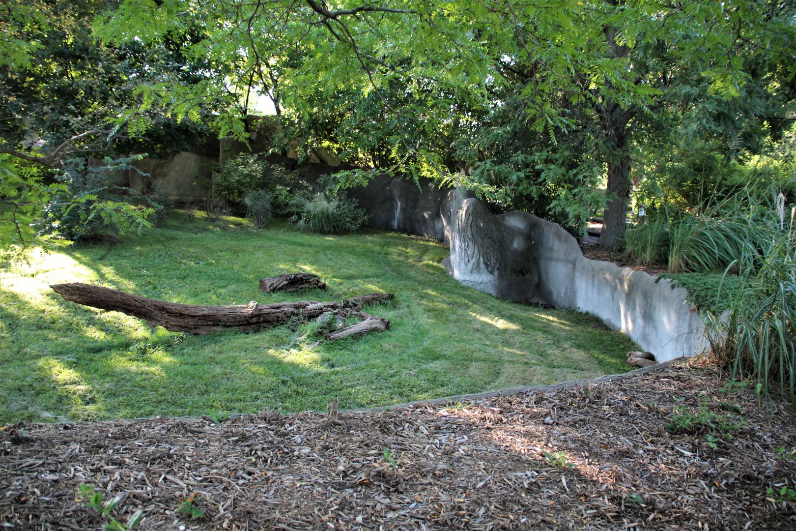 Detroit Zoo - Bush Dog habitat - Summer, 2016