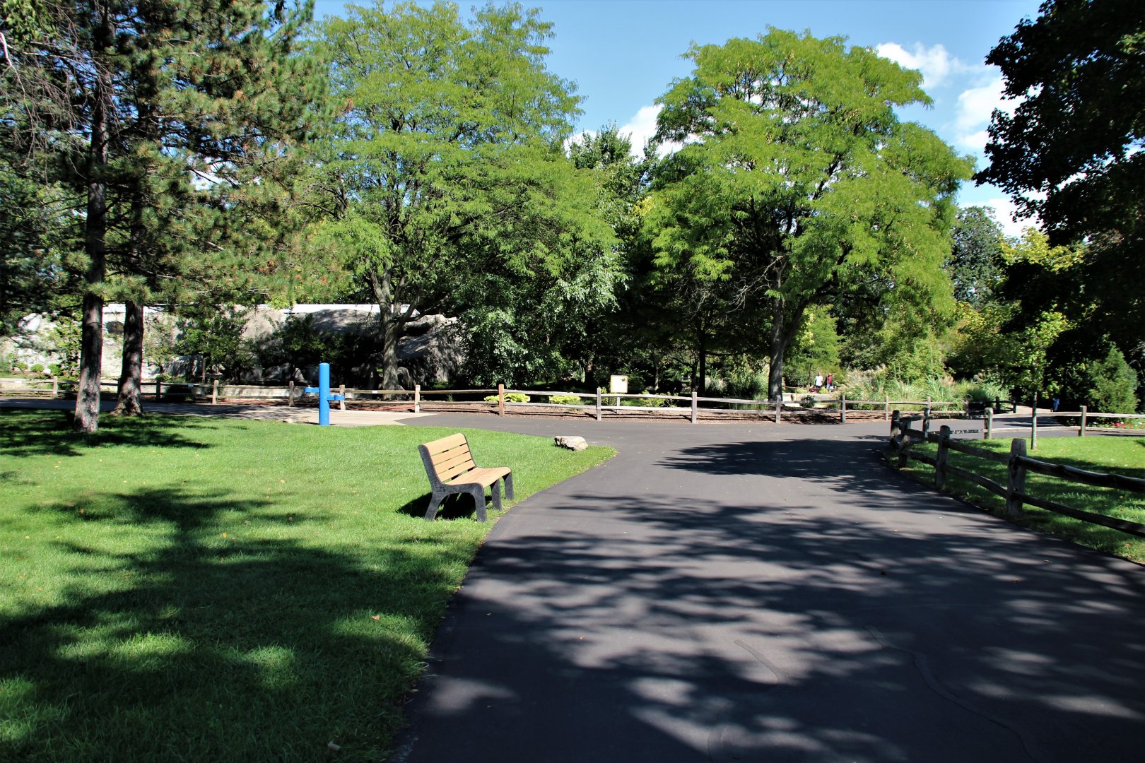 Detroit Zoo - Bush Dog habitat - Summer, 2016