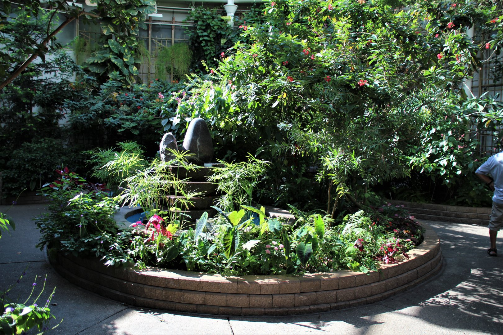 Detroit Zoo - Butterfly Garden (Indoor) - Summer, 2016