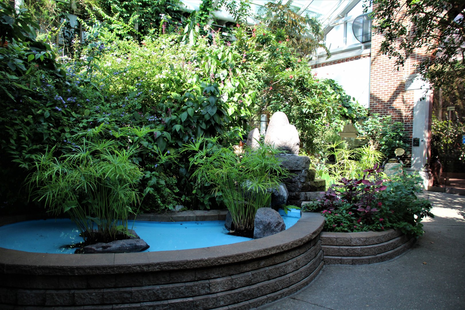Detroit Zoo - Butterfly Garden (Indoor) - Summer, 2016
