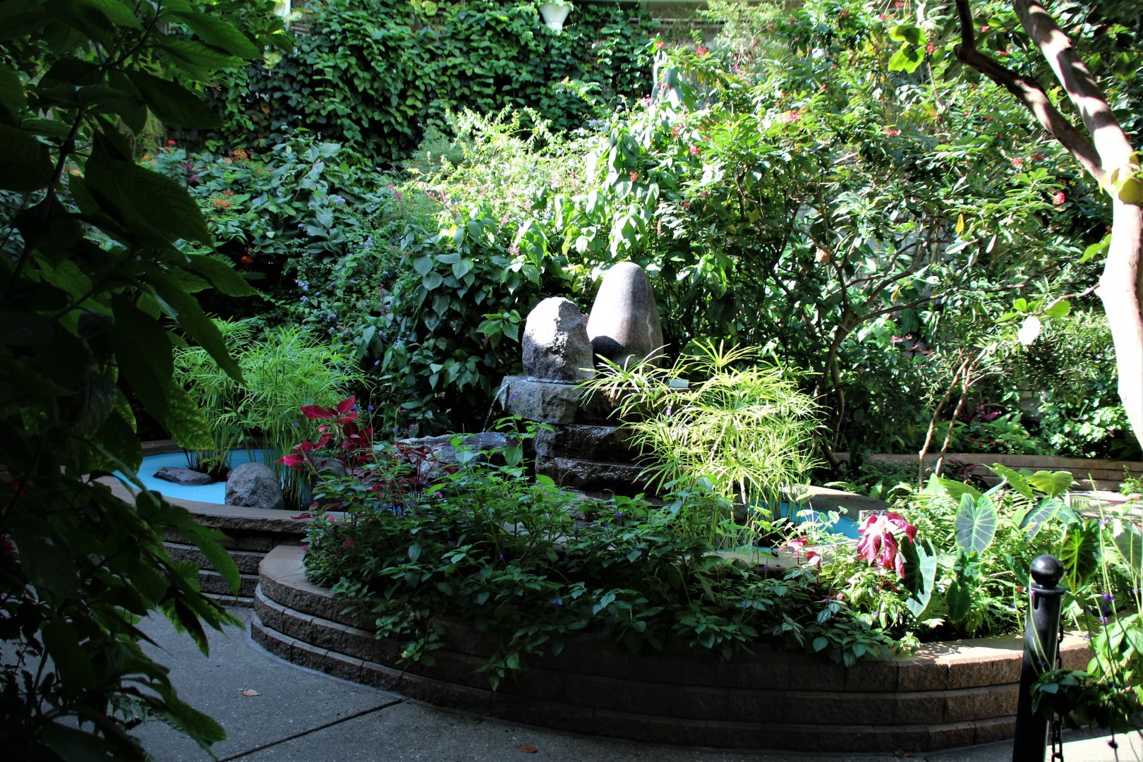 Detroit Zoo - Butterfly Garden (Indoor) - Summer, 2016