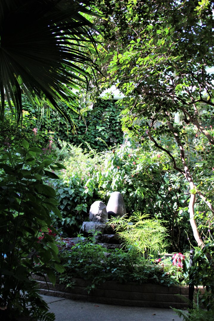 Detroit Zoo - Butterfly Garden (Indoor) - Summer, 2016