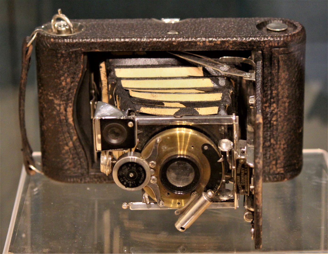 Detroit Zoo - Camera from the Shackleton Endurance Antarctic Exhibition - August, 2016