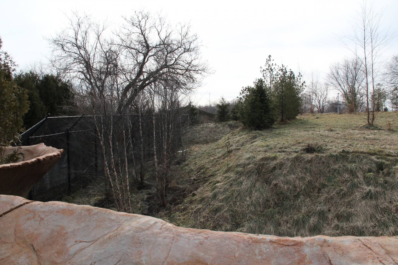 Detroit Zoo - Cotton Family Wolf Wilderness - Gray Wolves