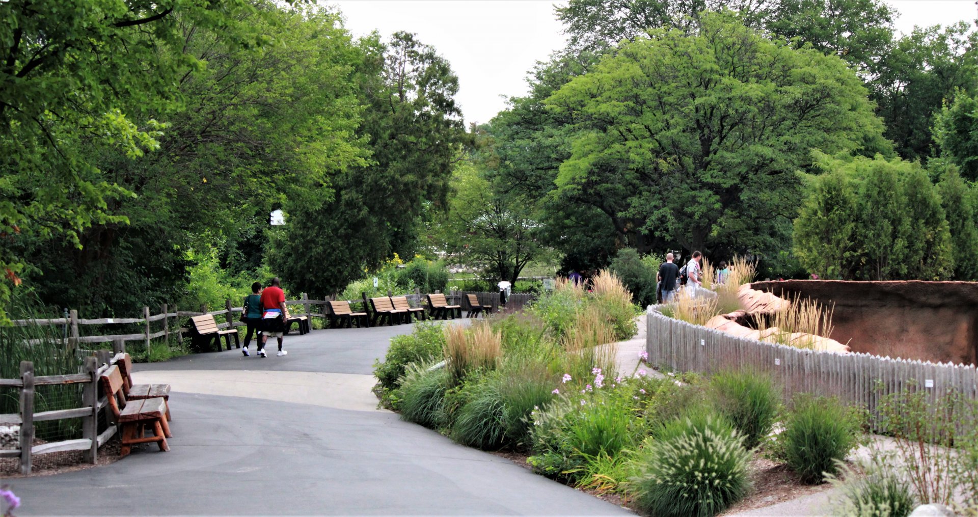 Detroit Zoo - Cotton Family Wolf Wilderness - Summer/Fall, 2016