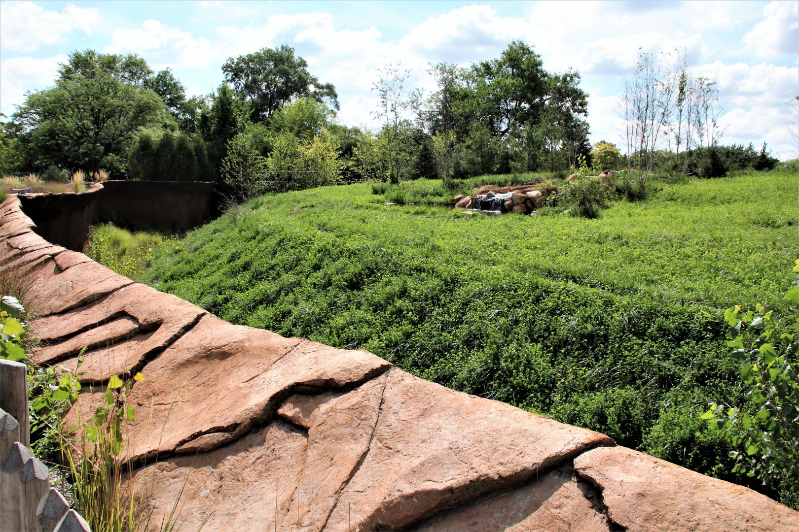 Detroit Zoo - Cotton Family Wolf Wilderness - Summer/Fall, 2016