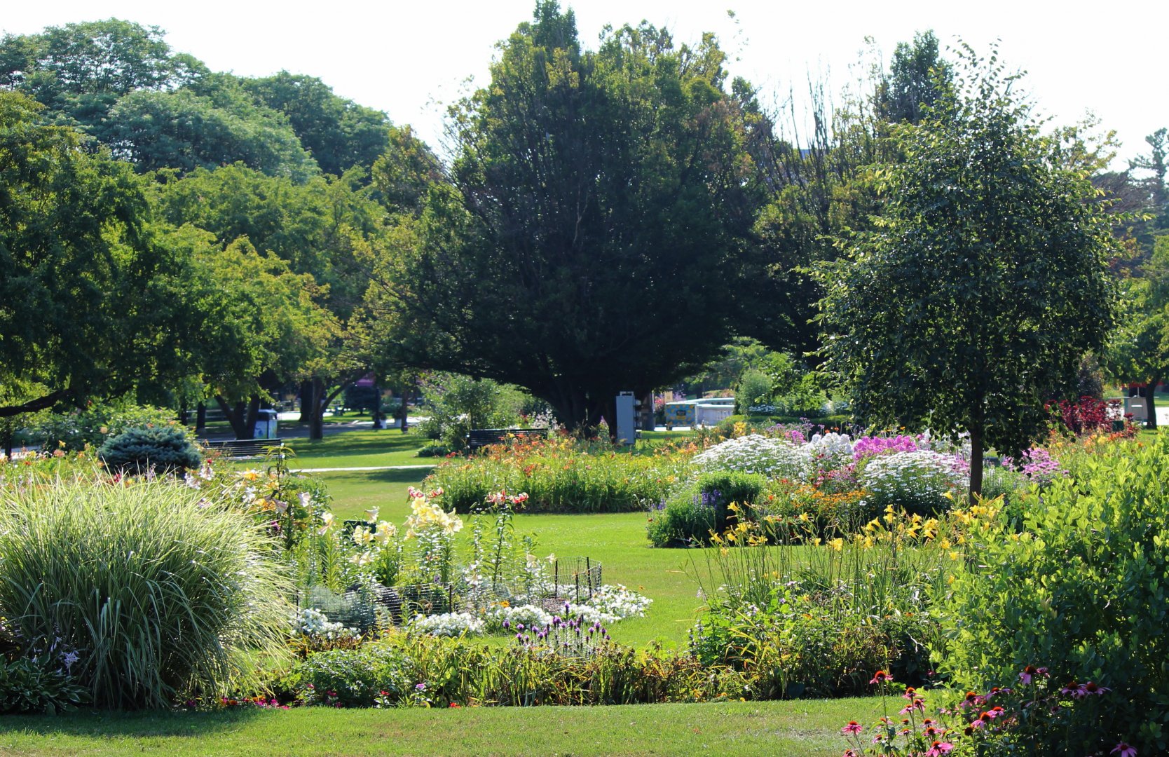 Detroit Zoo - Gardens - July, 2016