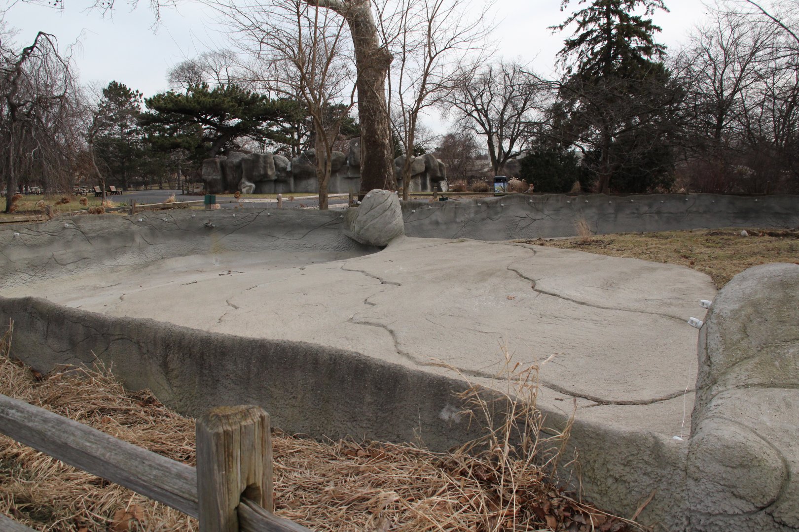 Detroit Zoo - Giant Anteater enclosure