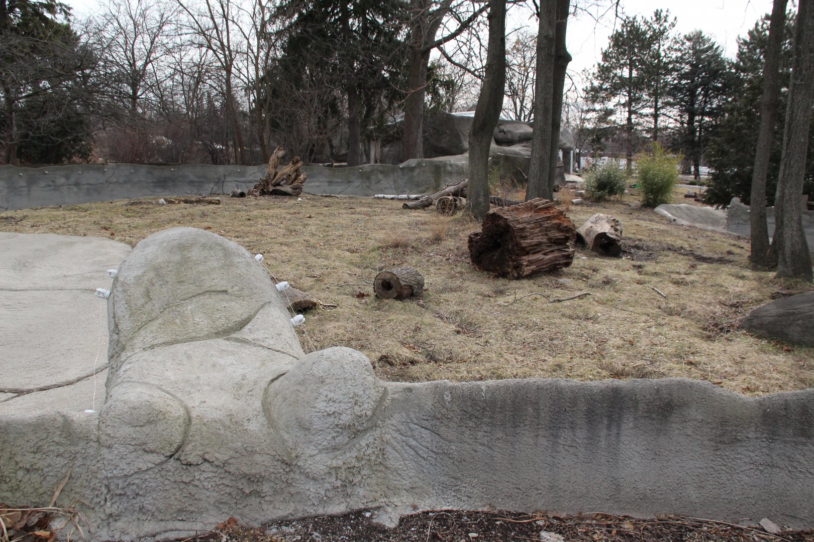 Detroit Zoo - Giant Anteater enclosure