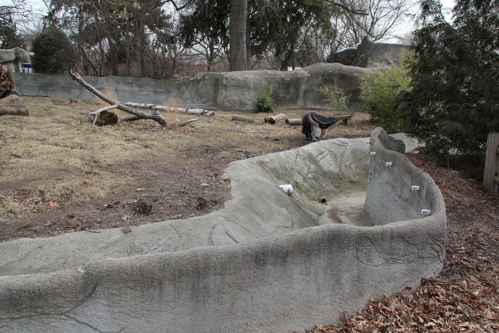Detroit Zoo - Giant Anteater enclosure