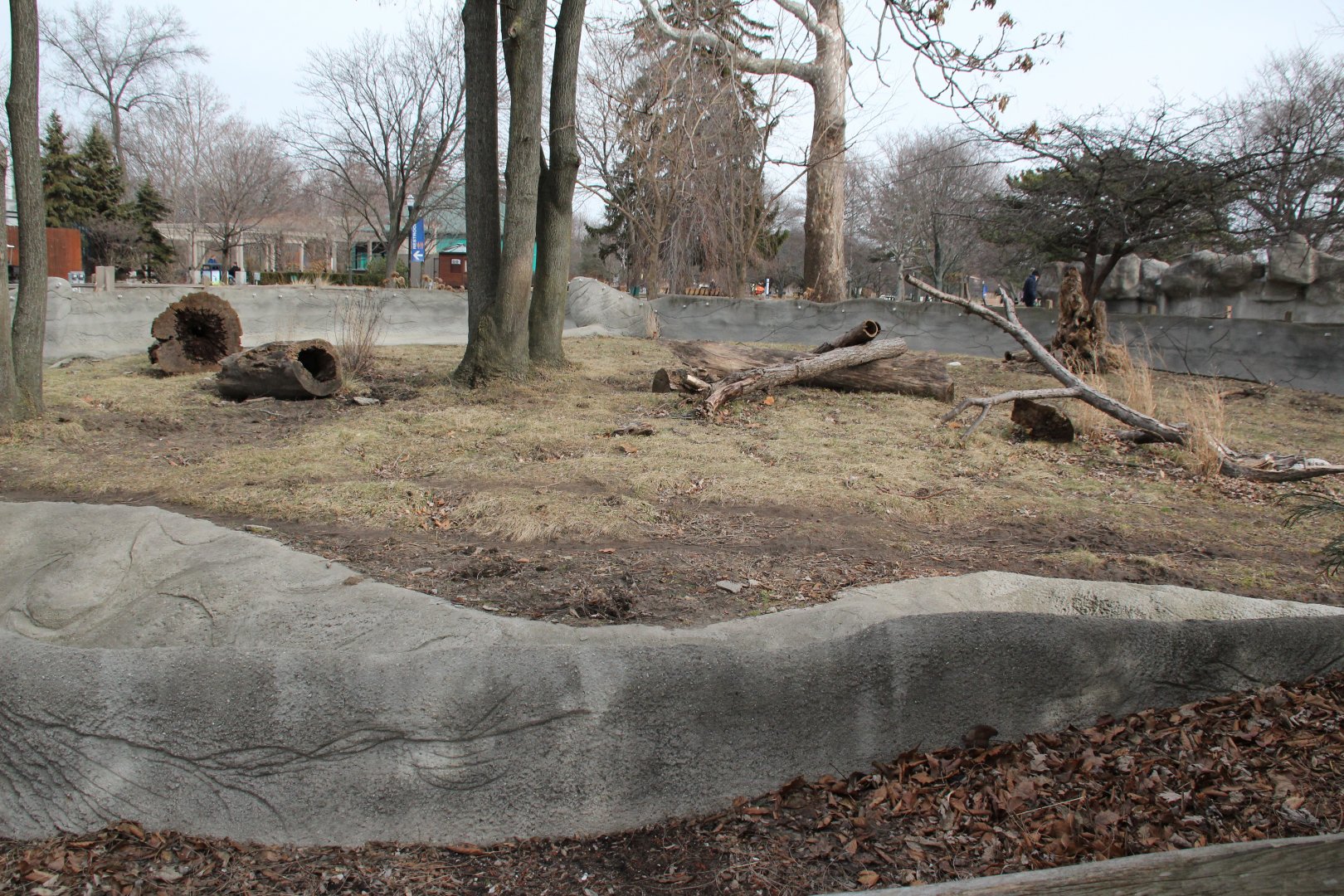 Detroit Zoo - Giant Anteater enclosure