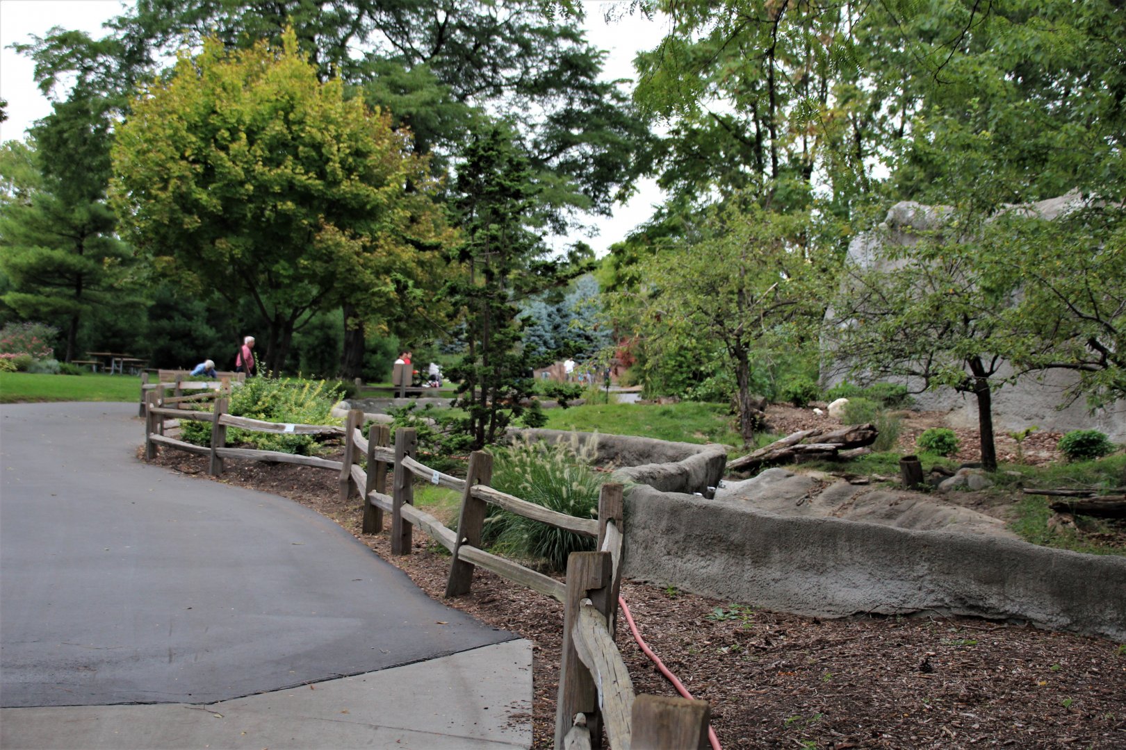 Detroit Zoo - Giant Anteater habitat - Summer, 2016