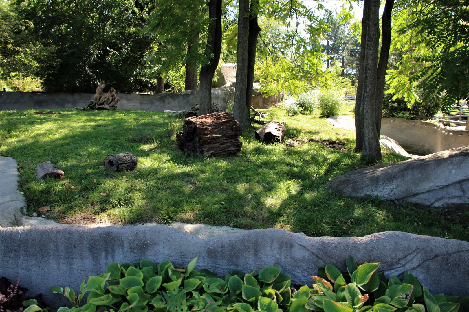 Detroit Zoo - Giant Anteater habitat - Summer, 2016