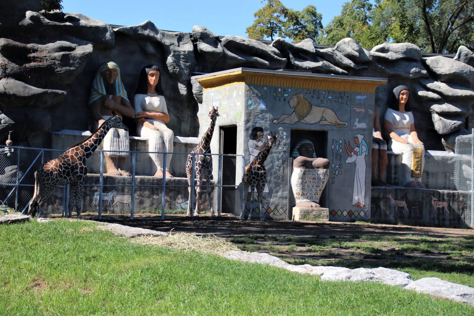 Detroit Zoo - Giraffe Enclosure - Summer, 2016