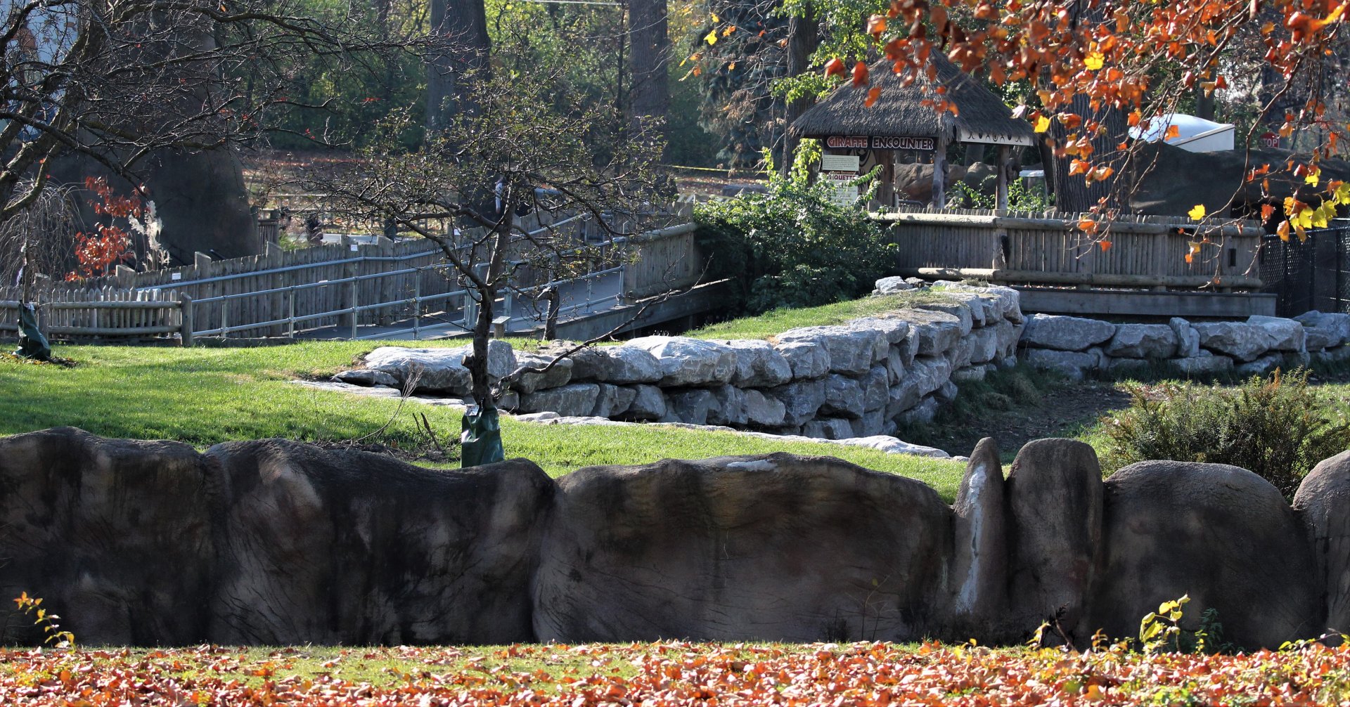 Detroit Zoo - Giraffe Enclosure - Summer, 2016