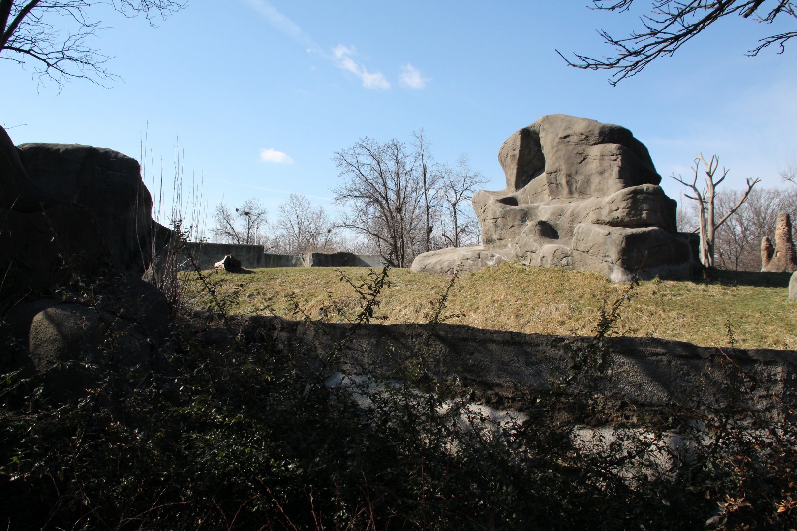 Detroit Zoo - Great Apes of Harambee exhibit