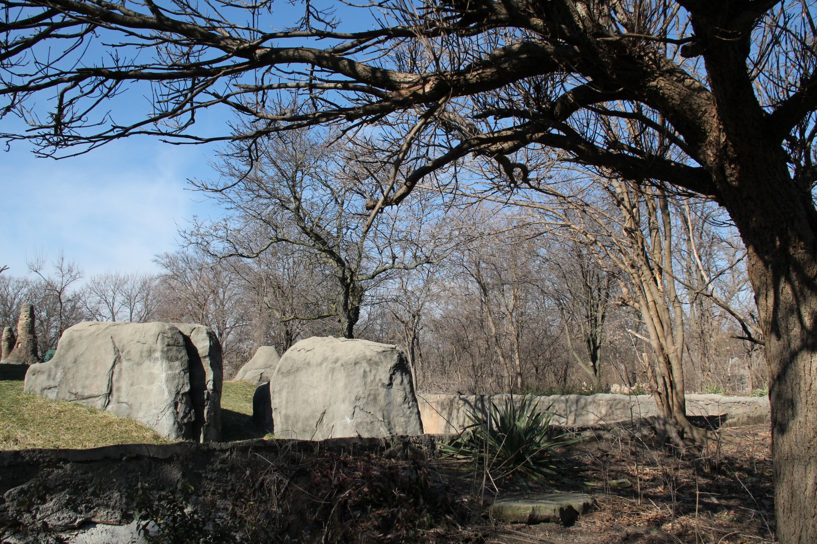 Detroit Zoo - Great Apes of Harambee exhibit