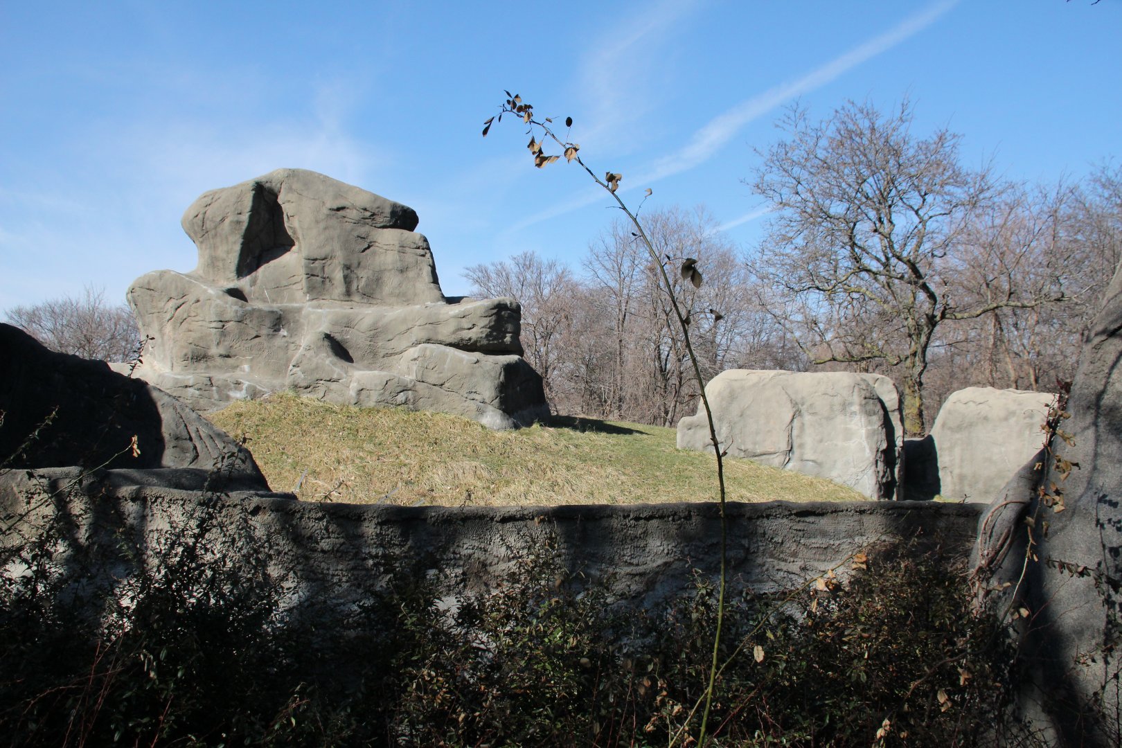 Detroit Zoo - Great Apes of Harambee exhibit