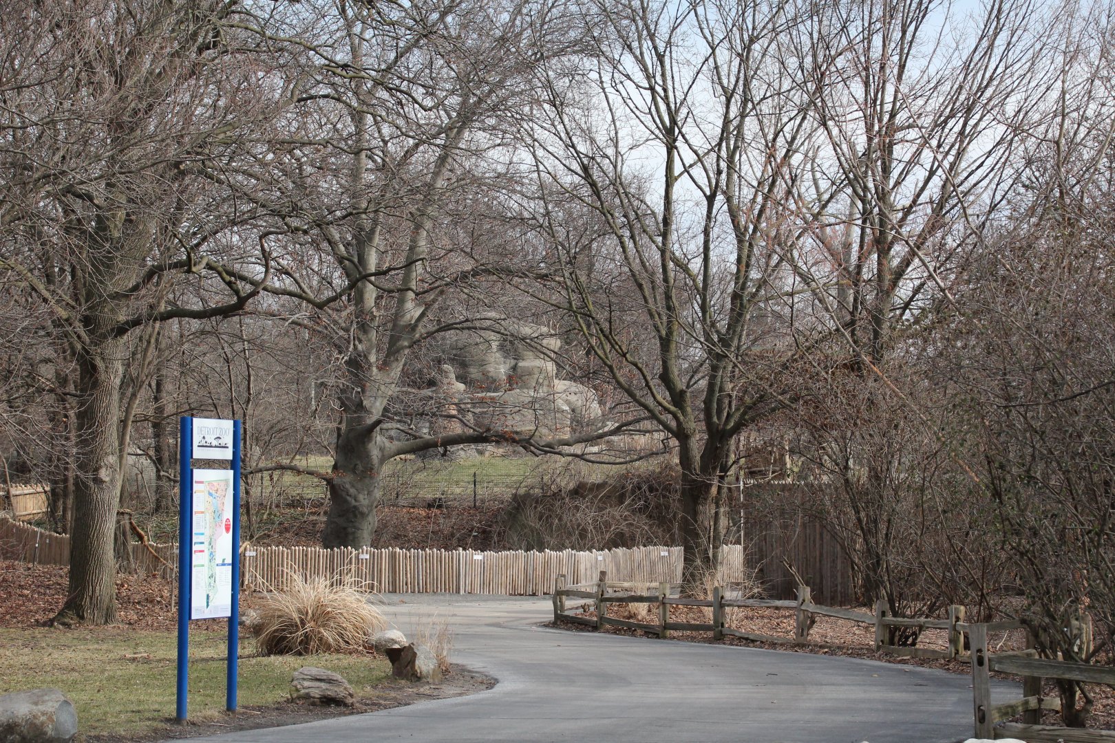 Detroit Zoo - Great Apes of Harambee exhibt in background