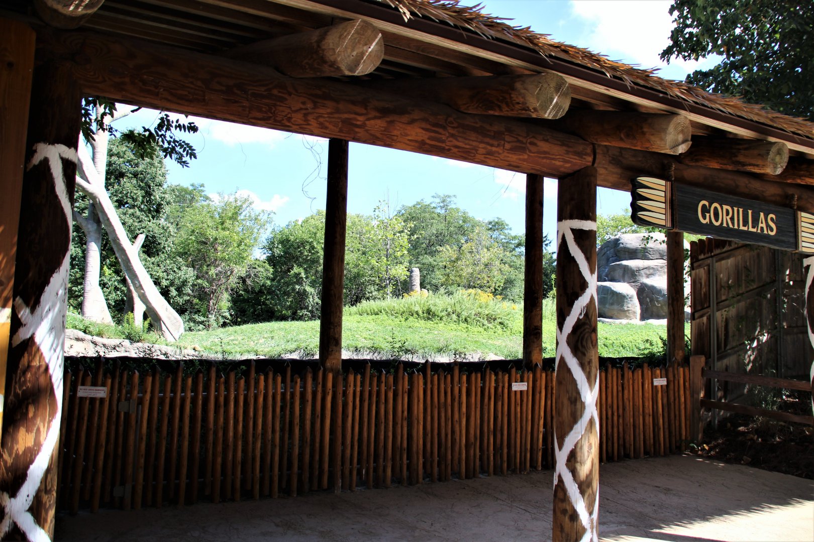 Detroit Zoo - Great Apes of Harambee - Summer/Fall, 2016