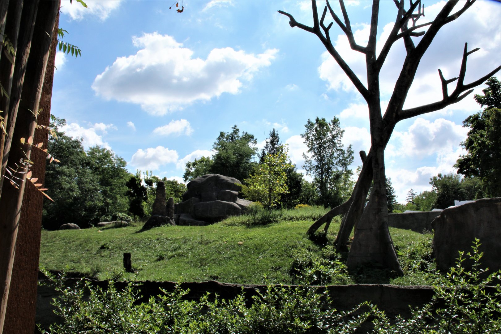 Detroit Zoo - Great Apes of Harambee - Summer/Fall, 2016