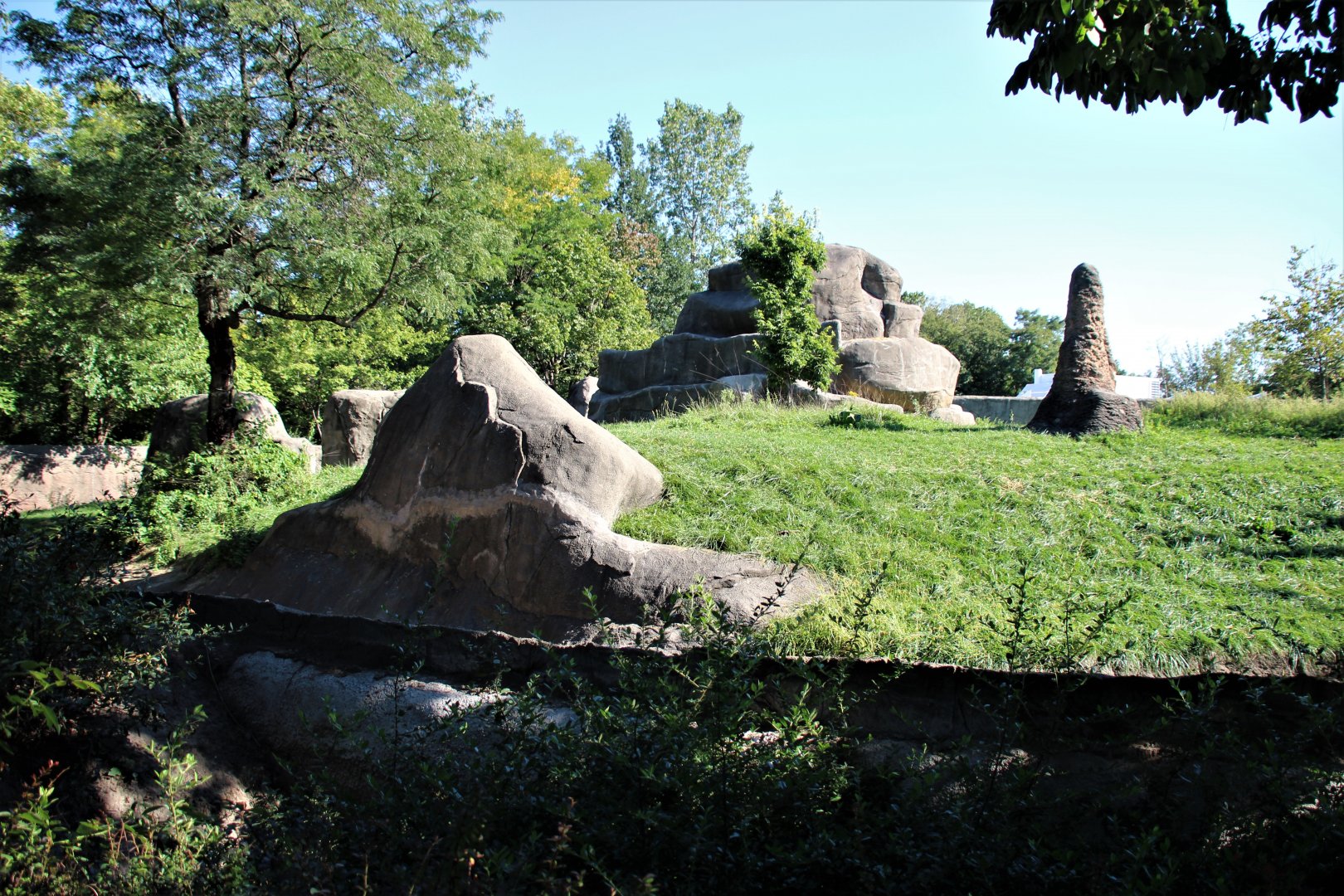 Detroit Zoo - Great Apes of Harambee - Summer/Fall, 2016