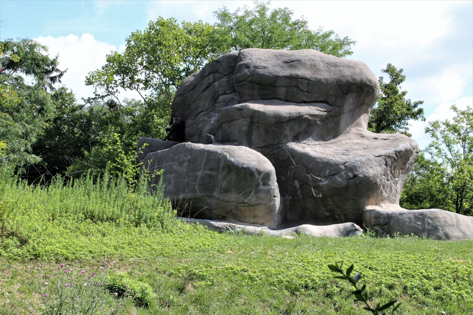 Detroit Zoo - Great Apes of Harambee - Summer/Fall, 2016