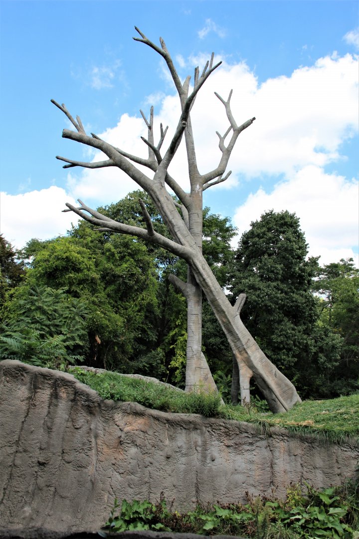 Detroit Zoo - Great Apes of Harambee - Summer/Fall, 2016