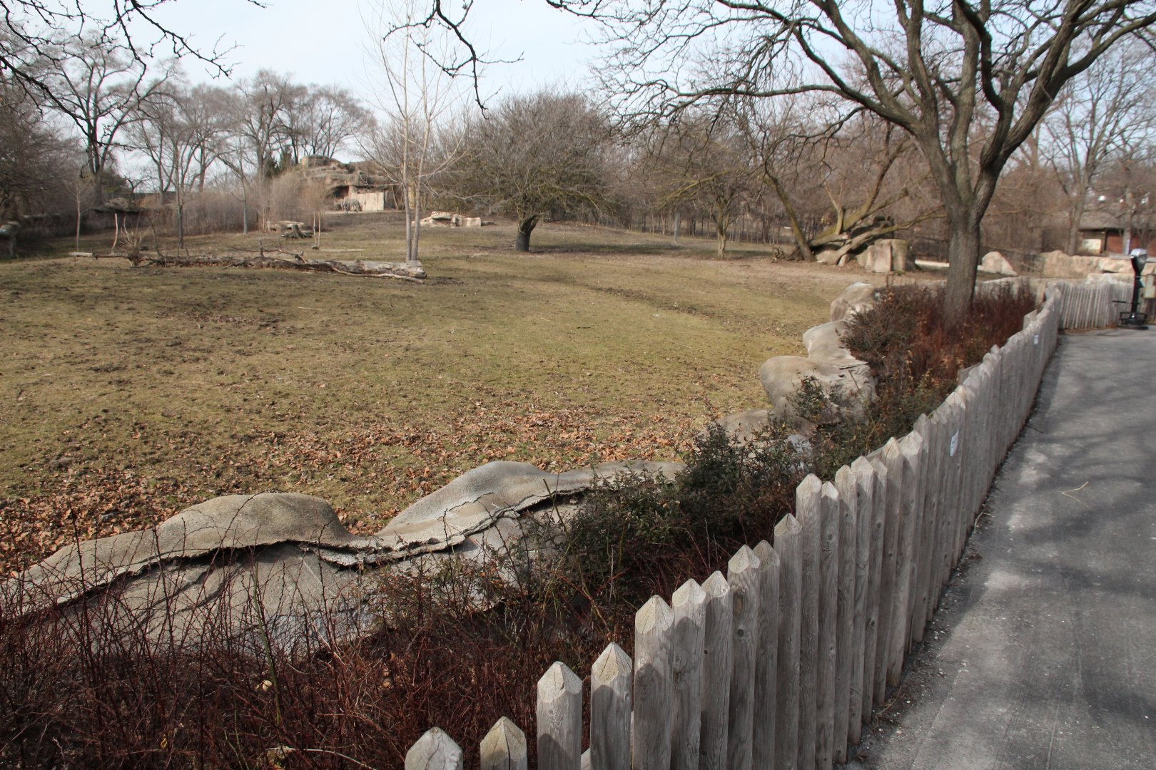 Detroit Zoo - Grevy’s Zebra enclosure