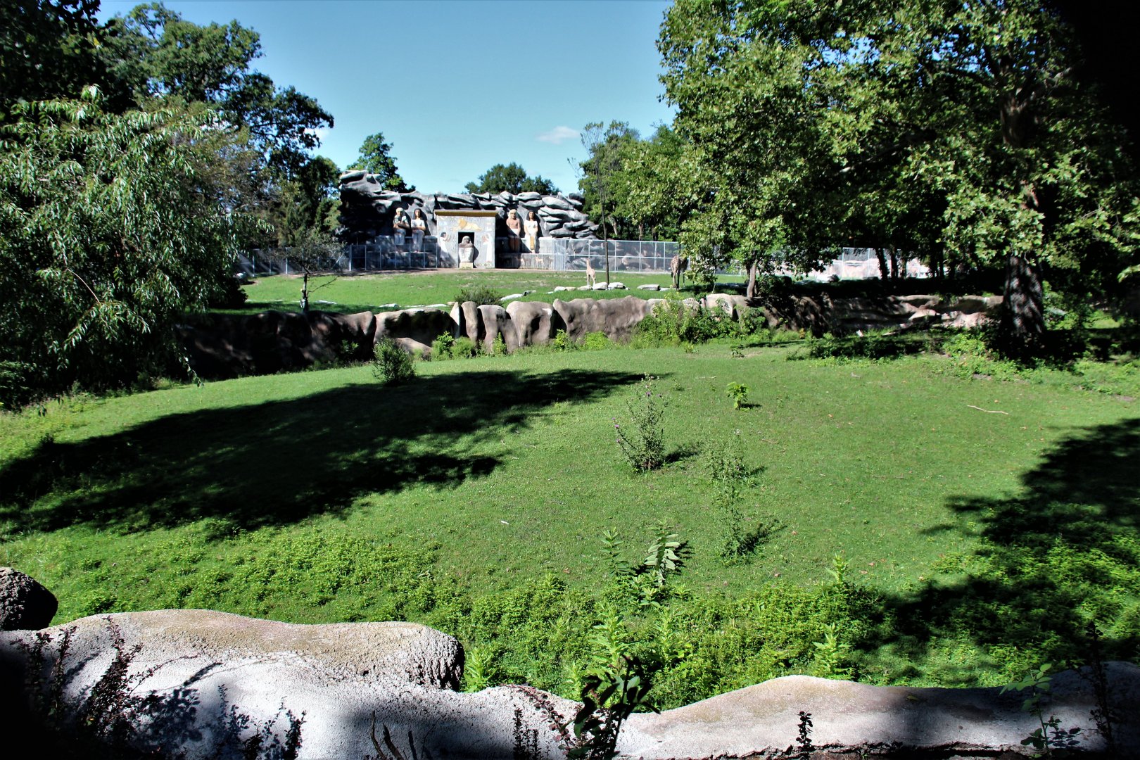 Detroit Zoo - Grevy’s zebra habitat - Summer/Fall, 2016