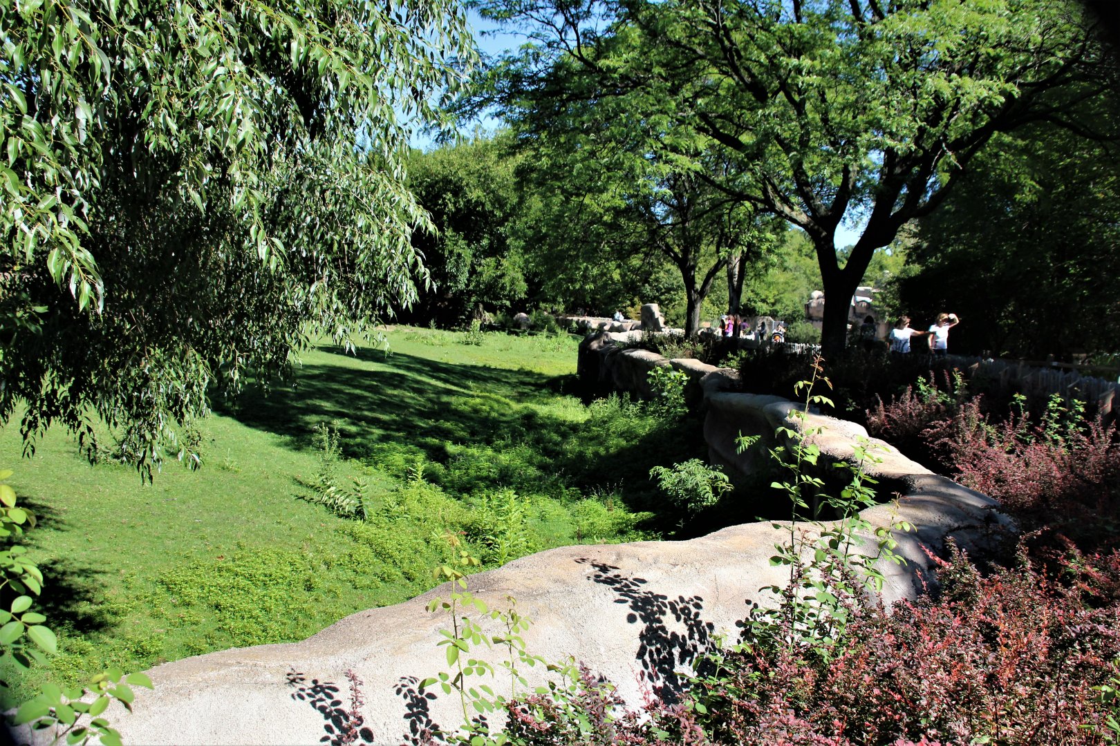 Detroit Zoo - Grevy’s zebra habitat - Summer/Fall, 2016