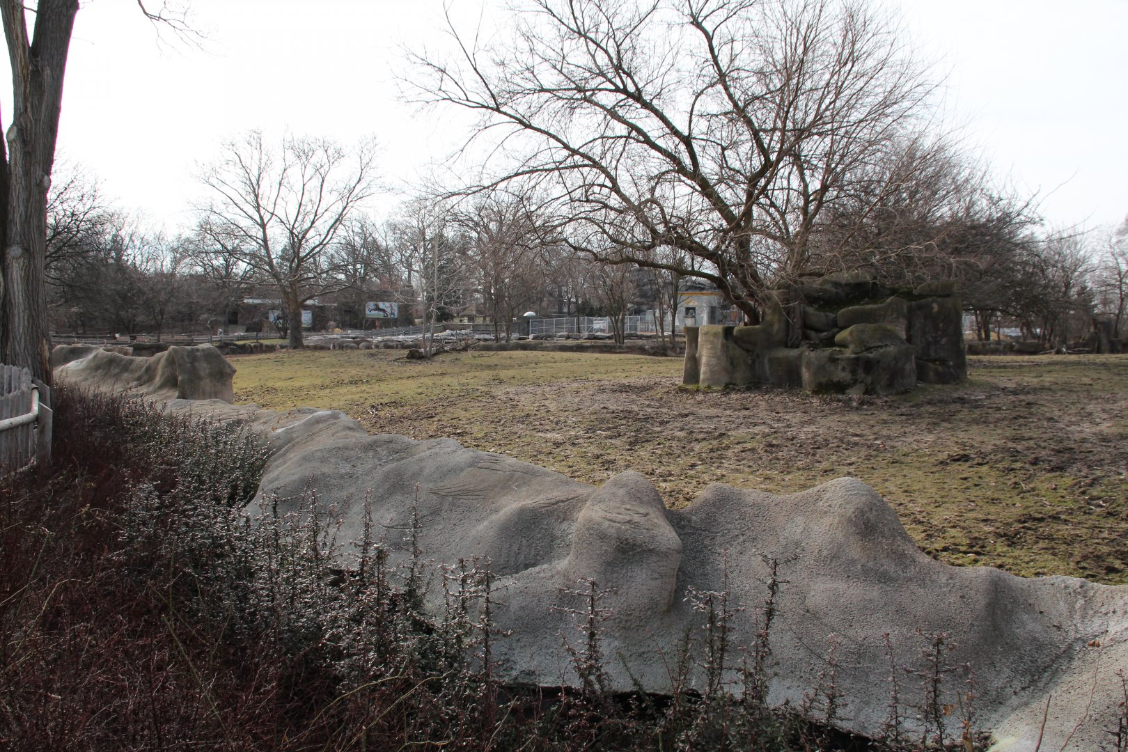 Detroit Zoo - Grevy's Zebras enclosure