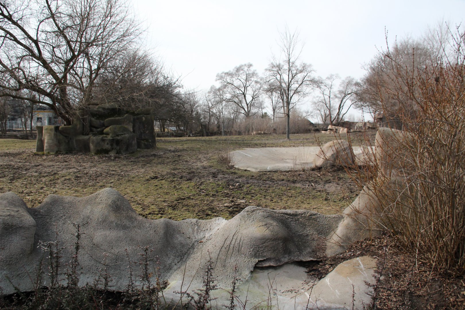 Detroit Zoo - Grevy's Zebras enclosure
