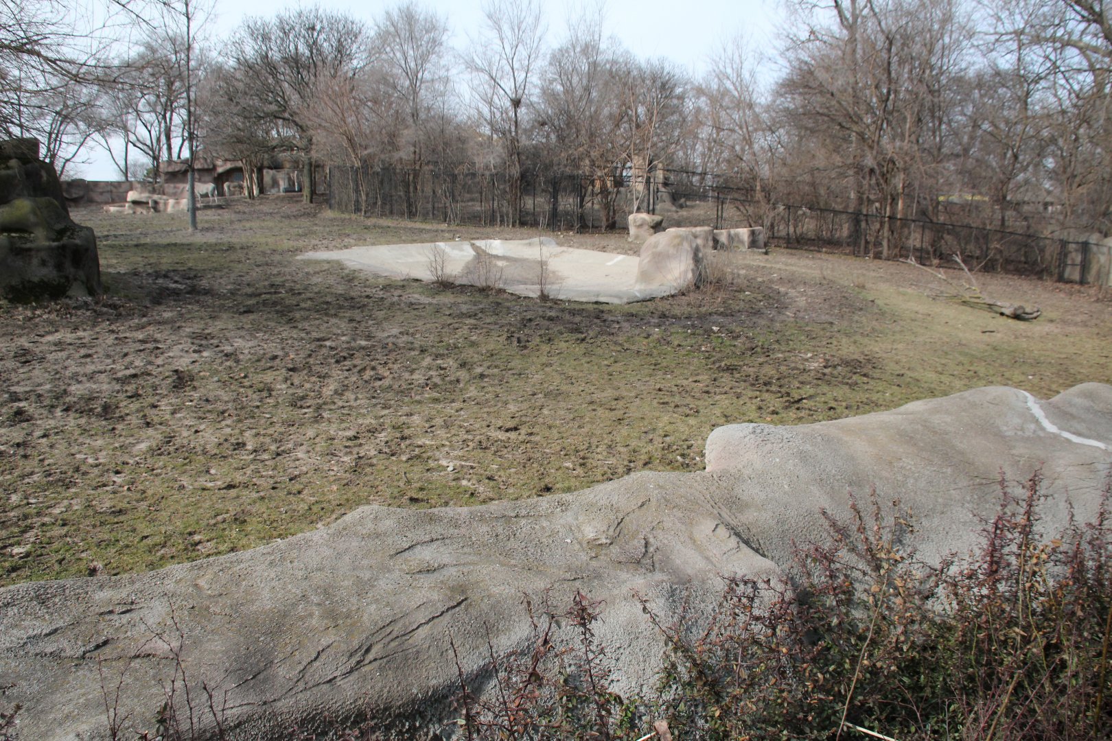 Detroit Zoo - Grevy's Zebras enclosure